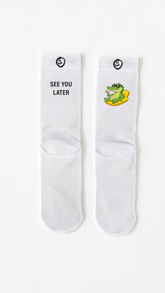 See You Later Alligator