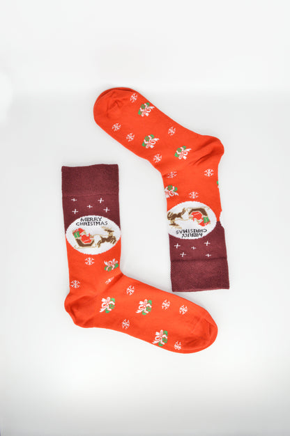 Christmas trail