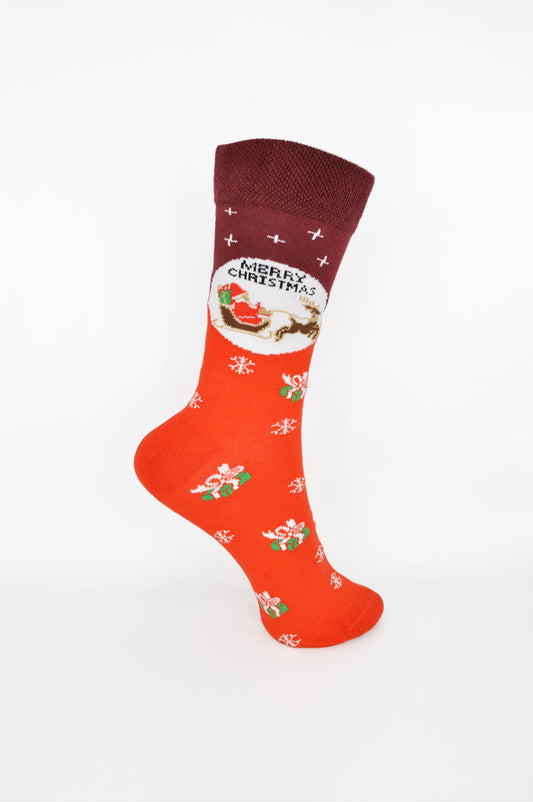 Christmas trail